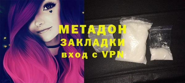 гидра Богданович