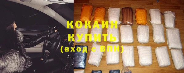 гидра Богданович