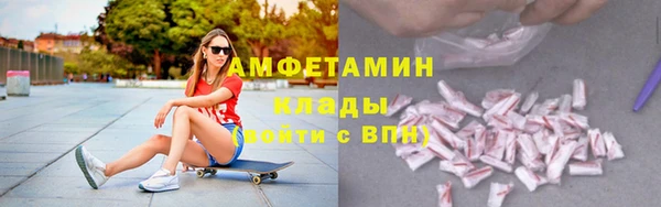 гидра Богданович