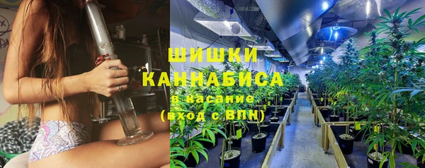 гидра Богданович
