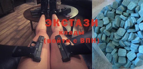 гидра Богданович