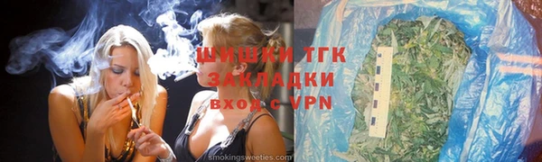 гидра Богданович