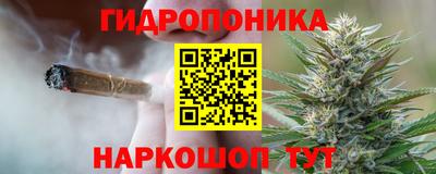 шишки Абинск