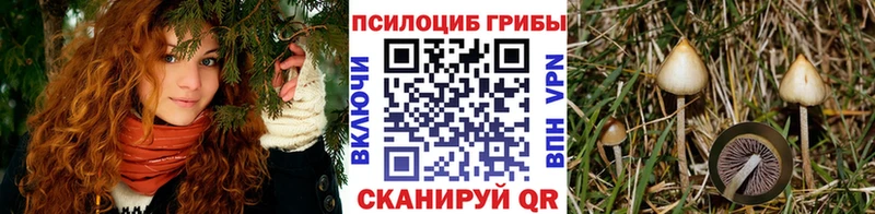 закладка  Анапа  Галлюциногенные грибы Magic Shrooms 