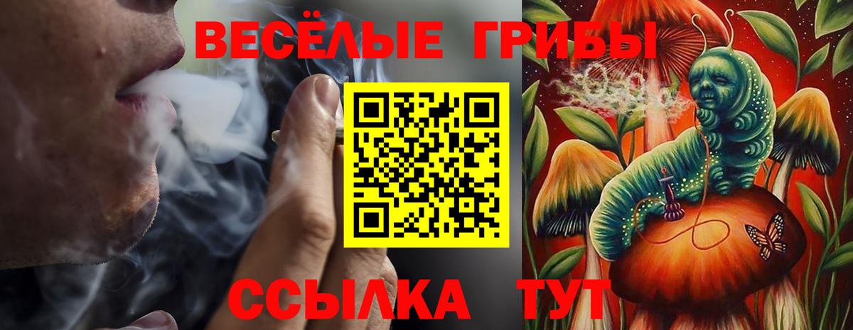Псилоцибиновые грибы ЛСД Анапа
