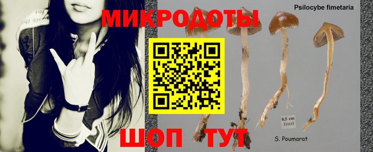 Галлюциногенные грибы мухоморы  Анапа 